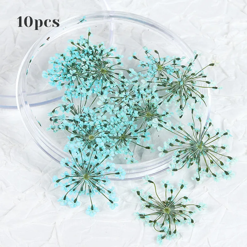 3D Dried Flower Nail Art Decorations Set